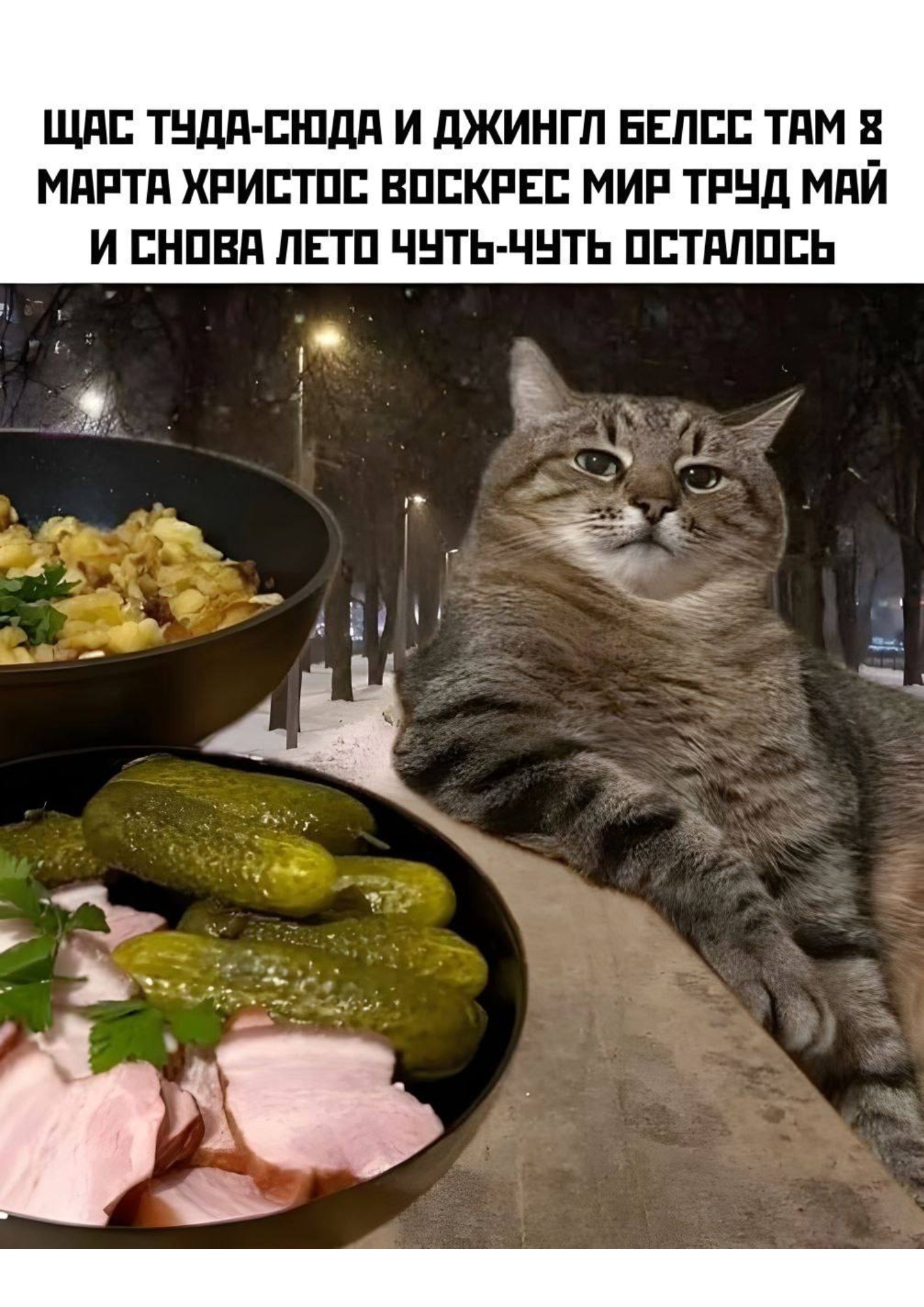 https://upforme.ru/uploads/001c/36/d0/13/722873.jpg