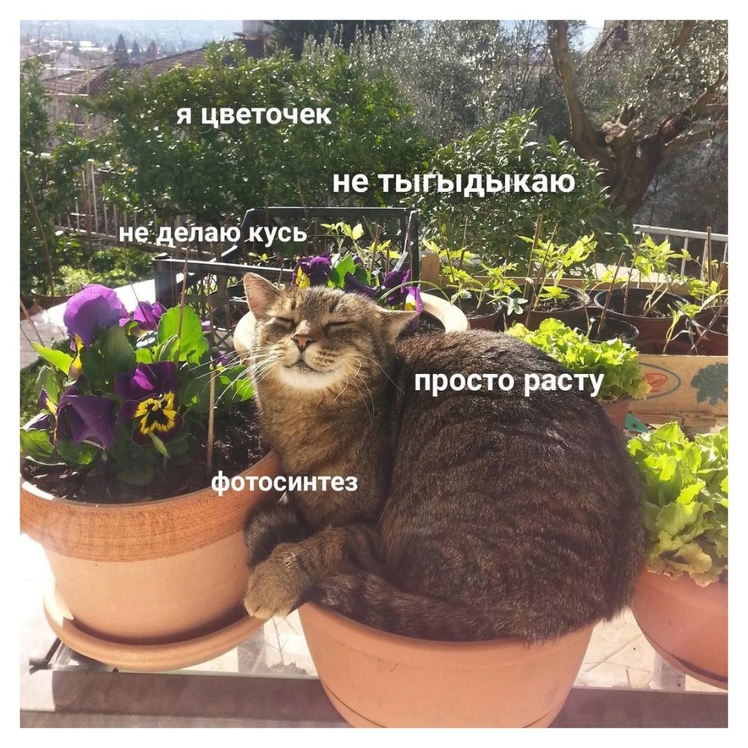 https://upforme.ru/uploads/001c/36/d0/13/763129.jpg