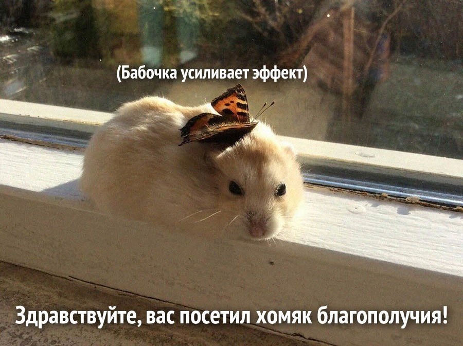 https://upforme.ru/uploads/001c/36/d0/13/800614.jpg