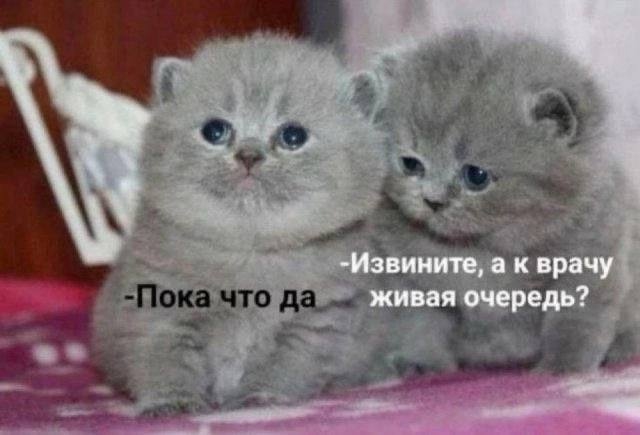 https://upforme.ru/uploads/001c/36/d0/13/809482.jpg