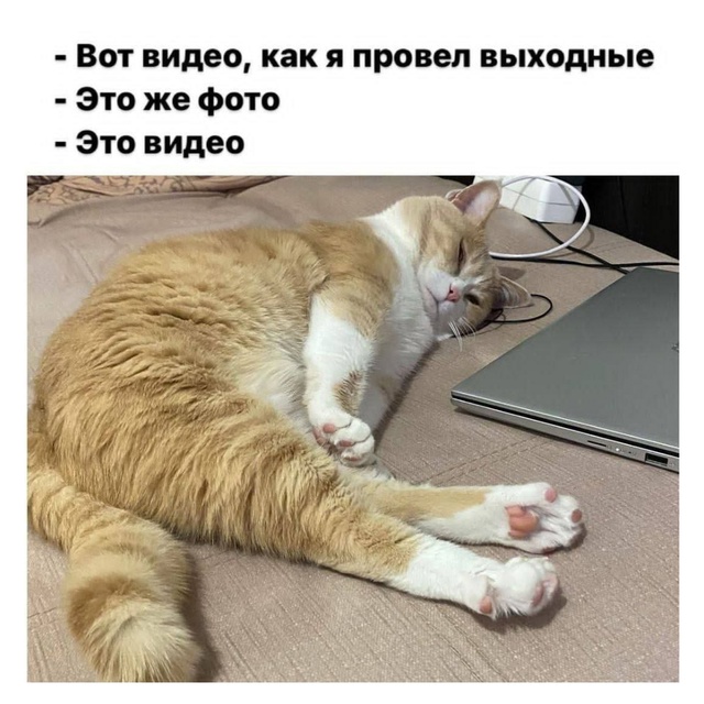 https://upforme.ru/uploads/001c/36/d0/13/821555.jpg