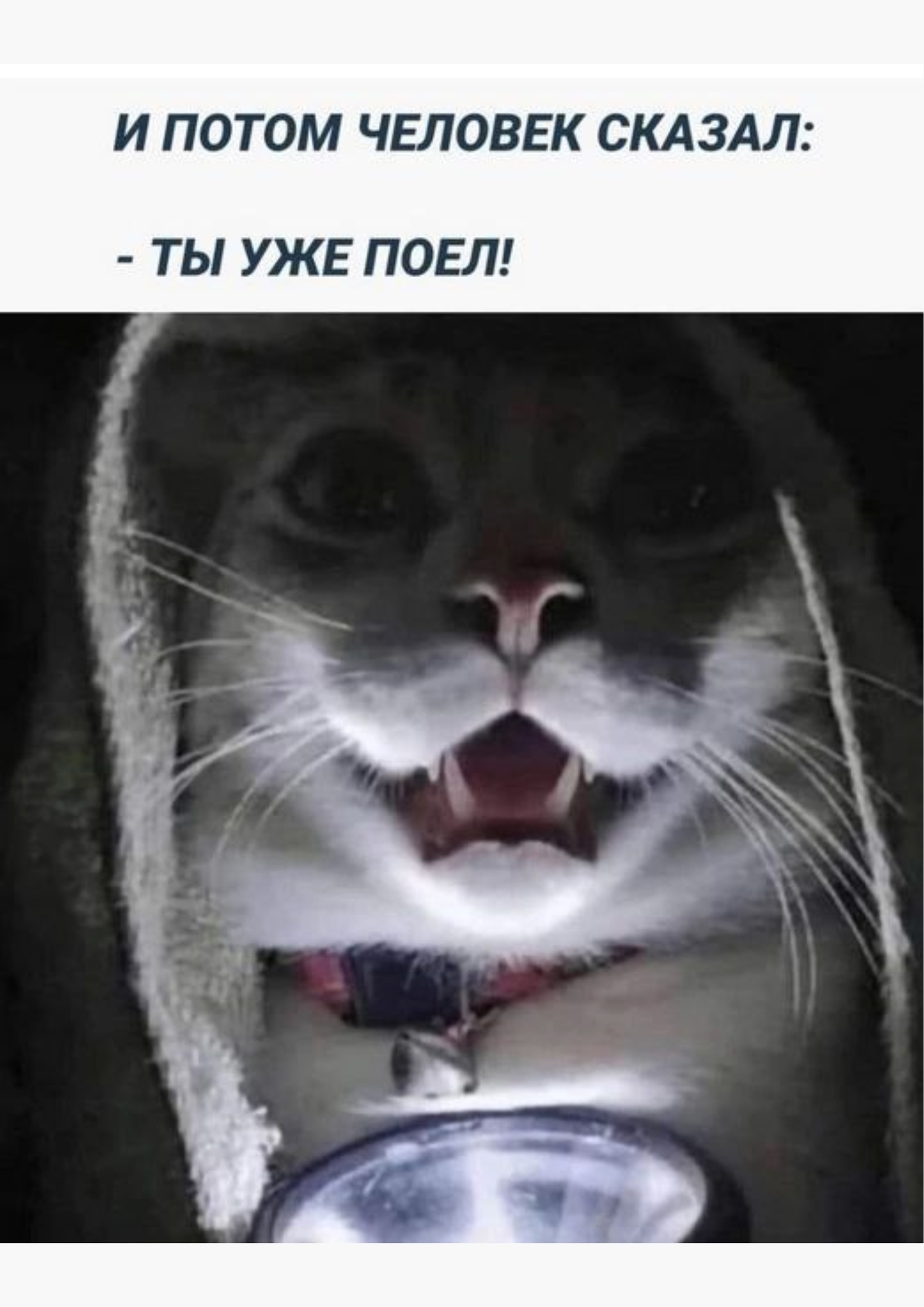 https://upforme.ru/uploads/001c/36/d0/13/913557.jpg