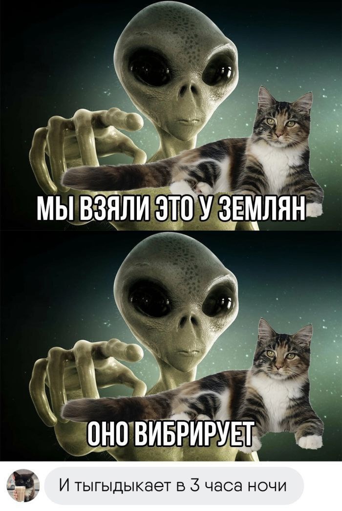 https://upforme.ru/uploads/001c/36/d0/13/97923.jpg