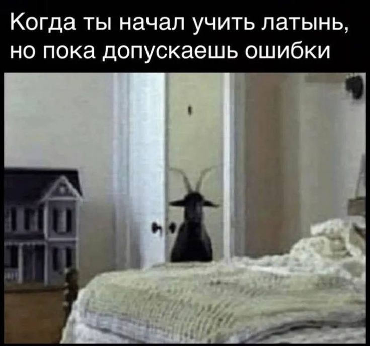 https://upforme.ru/uploads/001c/36/d0/130/532858.jpg