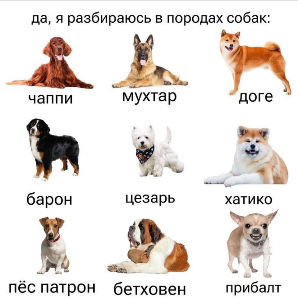 https://upforme.ru/uploads/001c/36/d0/139/697883.jpg