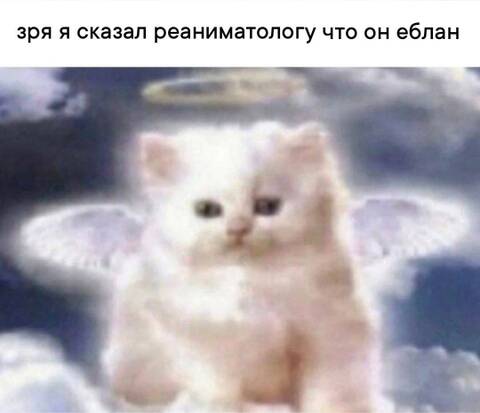 https://upforme.ru/uploads/001c/36/d0/139/t52024.jpg