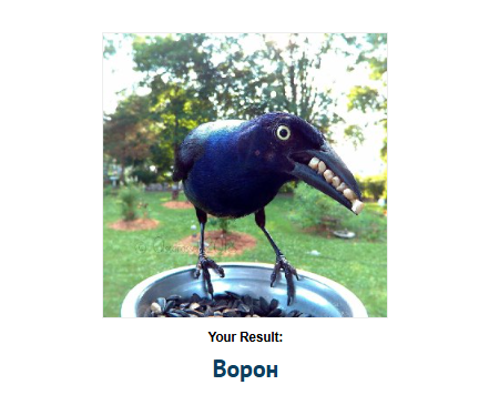 https://upforme.ru/uploads/001c/36/d0/14/293082.png