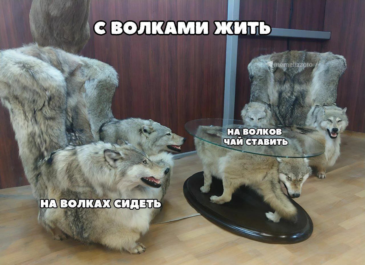 https://upforme.ru/uploads/001c/36/d0/14/799742.jpg