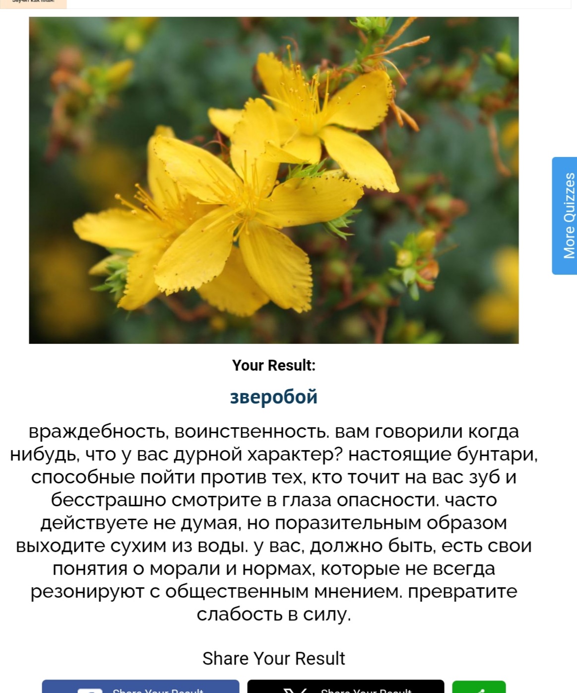 https://upforme.ru/uploads/001c/36/d0/140/604285.jpg