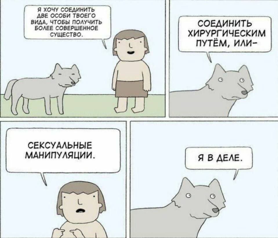 https://upforme.ru/uploads/001c/36/d0/15/223970.jpg