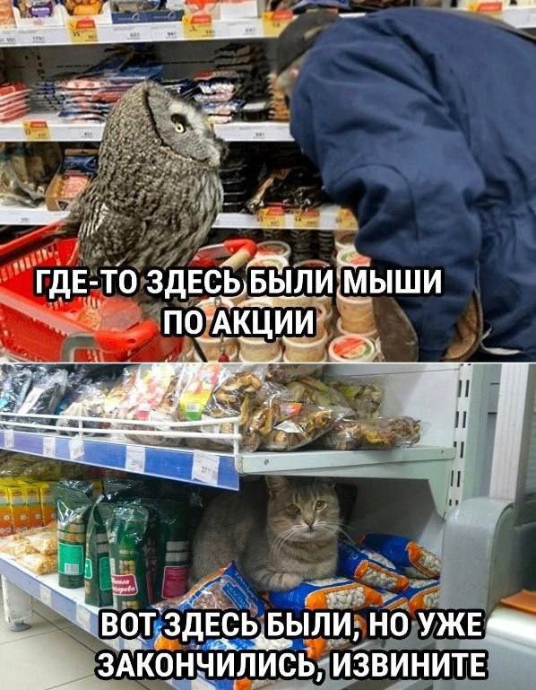 https://upforme.ru/uploads/001c/36/d0/15/312544.jpg