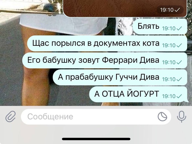 https://upforme.ru/uploads/001c/36/d0/15/314528.jpg