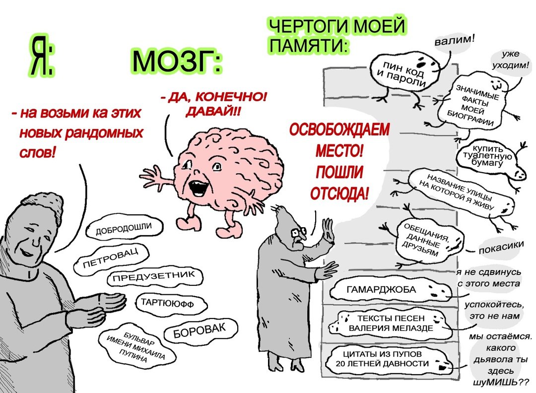 https://upforme.ru/uploads/001c/36/d0/15/554411.jpg