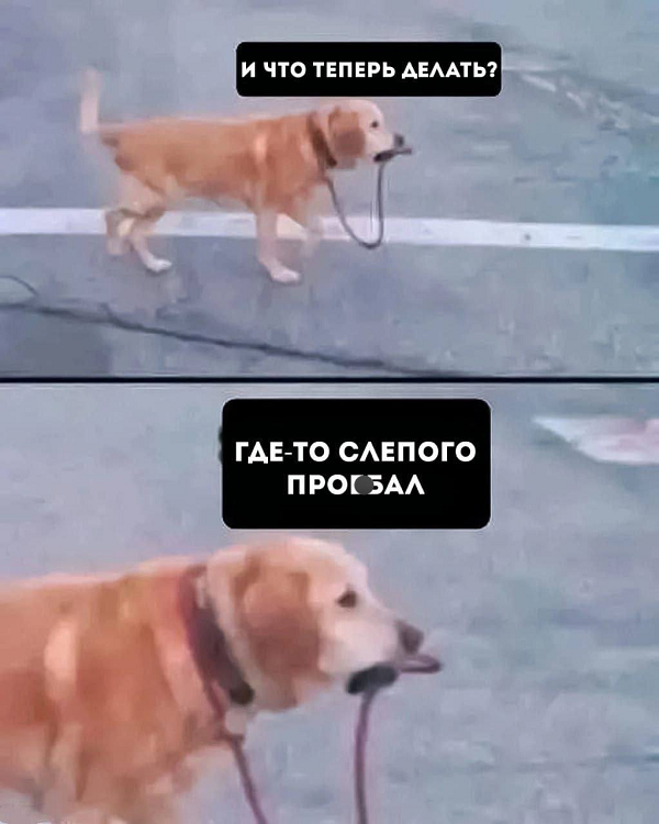 https://upforme.ru/uploads/001c/36/d0/157/872268.png