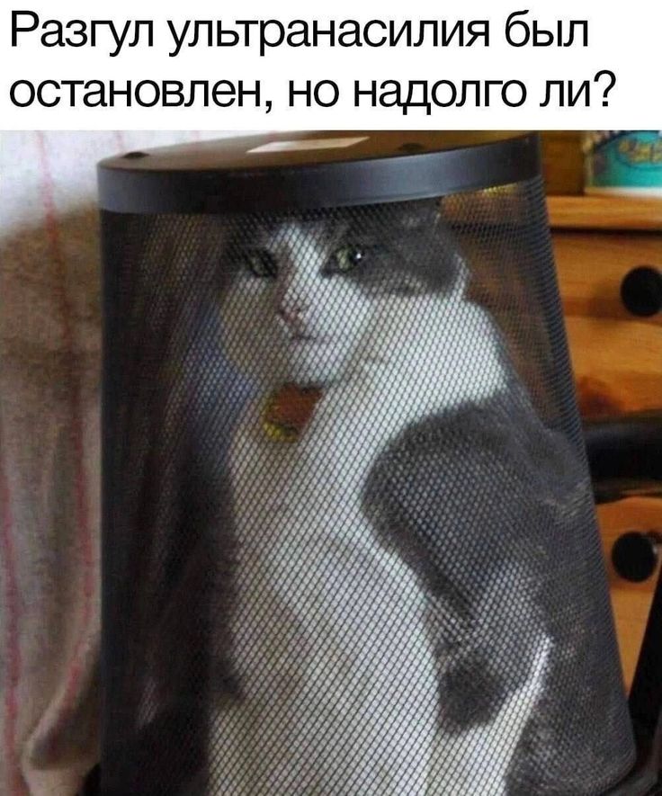 https://upforme.ru/uploads/001c/36/d0/158/209025.jpg