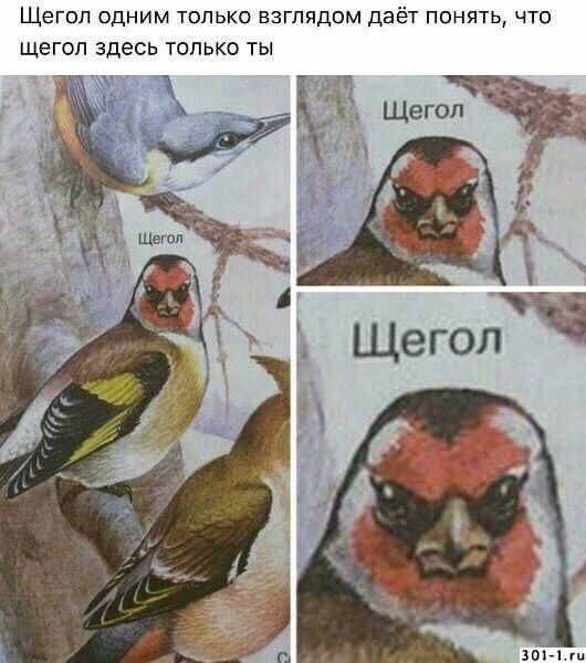 https://upforme.ru/uploads/001c/36/d0/158/460833.jpg