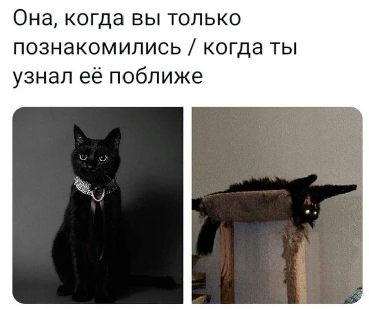 https://upforme.ru/uploads/001c/36/d0/158/468638.jpg