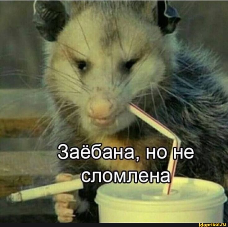 https://upforme.ru/uploads/001c/36/d0/158/774011.jpg