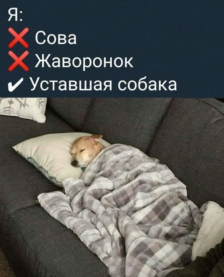 https://upforme.ru/uploads/001c/36/d0/158/995682.jpg