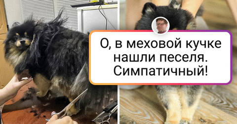 https://upforme.ru/uploads/001c/36/d0/158/t123734.jpg