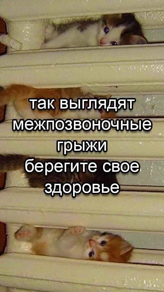 https://upforme.ru/uploads/001c/36/d0/17/261101.jpg