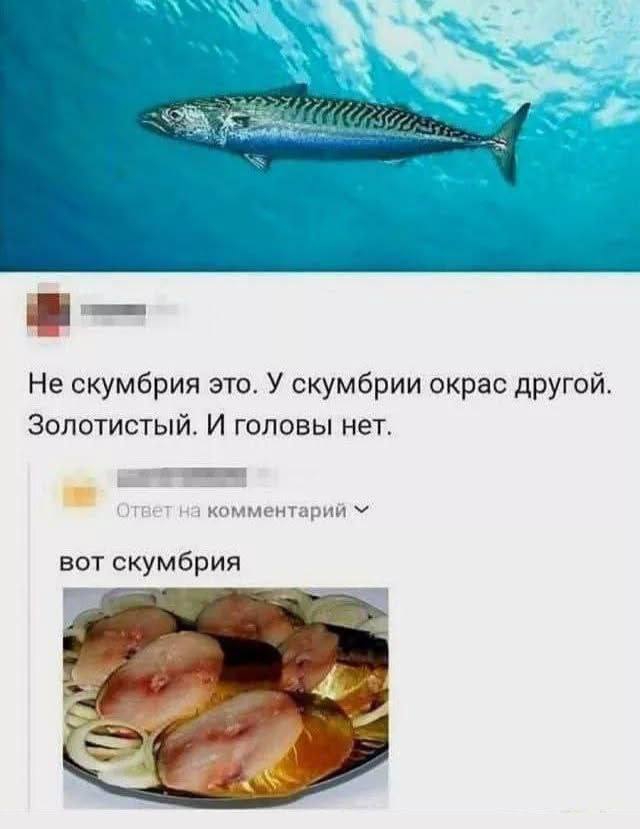 https://upforme.ru/uploads/001c/36/d0/181/902030.jpg