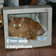 https://upforme.ru/uploads/001c/36/d0/182/523285.png