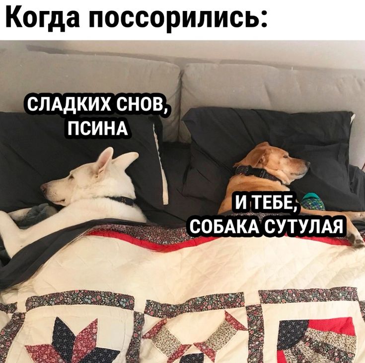 https://upforme.ru/uploads/001c/36/d0/199/148413.jpg