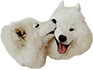 https://upforme.ru/uploads/001c/36/d0/2/300112.png