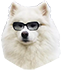 https://upforme.ru/uploads/001c/36/d0/2/348192.png