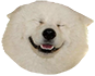 https://upforme.ru/uploads/001c/36/d0/2/89520.png