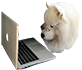 https://upforme.ru/uploads/001c/36/d0/2/930186.png