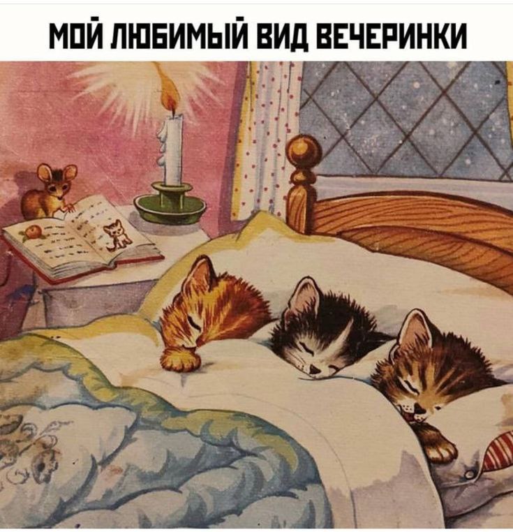 https://upforme.ru/uploads/001c/36/d0/203/771283.jpg