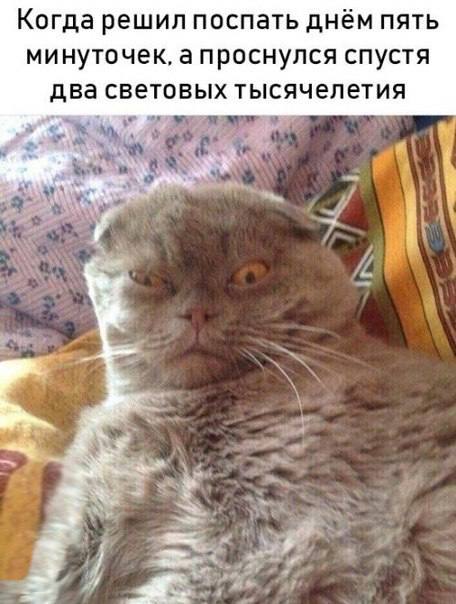 https://upforme.ru/uploads/001c/36/d0/207/495515.jpg