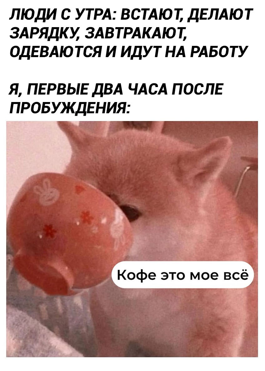 https://upforme.ru/uploads/001c/36/d0/207/918960.jpg