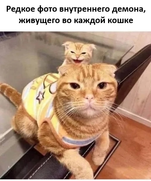 https://upforme.ru/uploads/001c/36/d0/210/184254.jpg