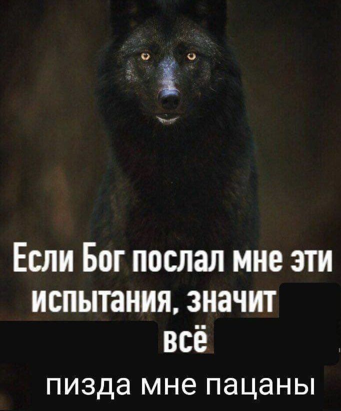 https://upforme.ru/uploads/001c/36/d0/211/540718.jpg