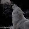 https://upforme.ru/uploads/001c/36/d0/221/224114.jpg