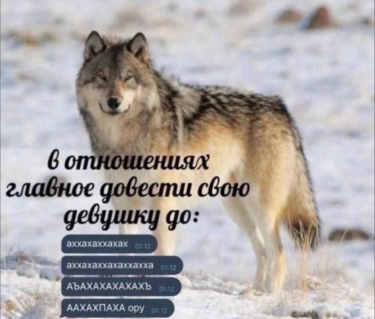 https://upforme.ru/uploads/001c/36/d0/242/220838.jpg