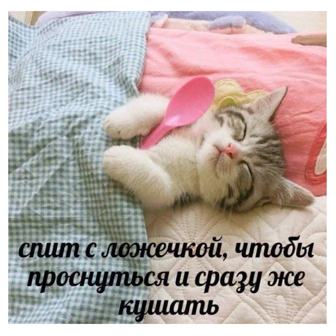 https://upforme.ru/uploads/001c/36/d0/244/270057.jpg