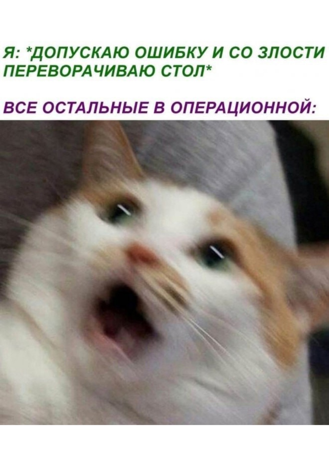 https://upforme.ru/uploads/001c/36/d0/244/383202.jpg