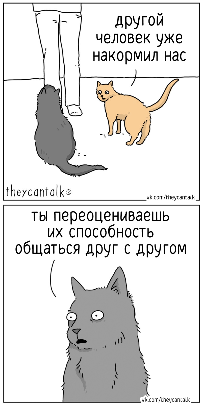 https://upforme.ru/uploads/001c/36/d0/244/39832.jpg