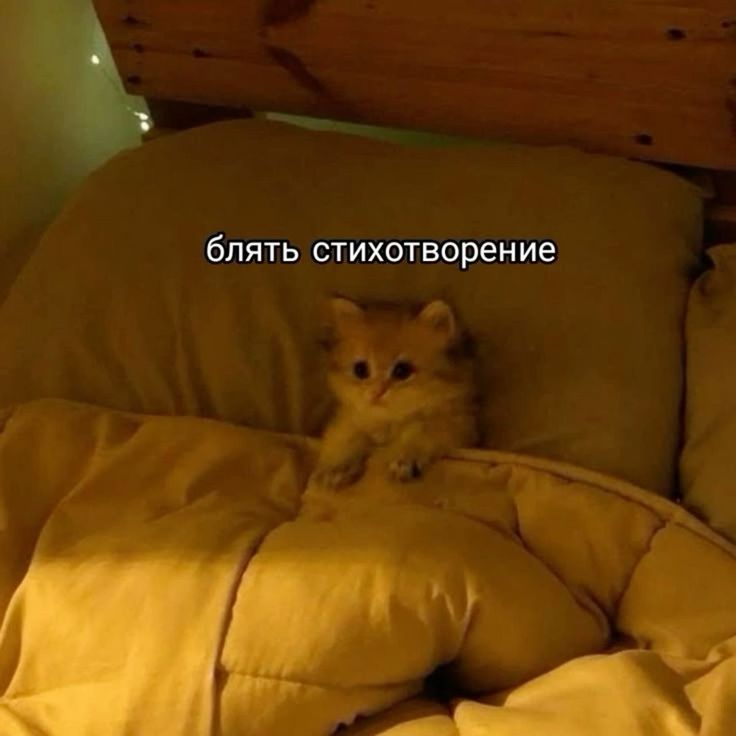 https://upforme.ru/uploads/001c/36/d0/244/506984.jpg
