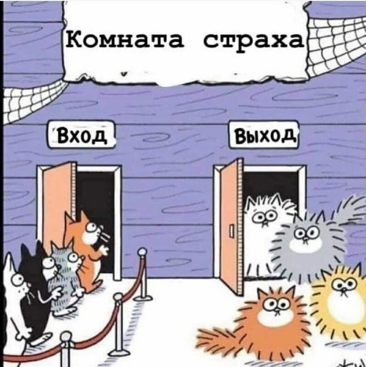 https://upforme.ru/uploads/001c/36/d0/25/451788.jpg
