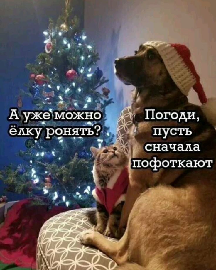 https://upforme.ru/uploads/001c/36/d0/25/592859.jpg