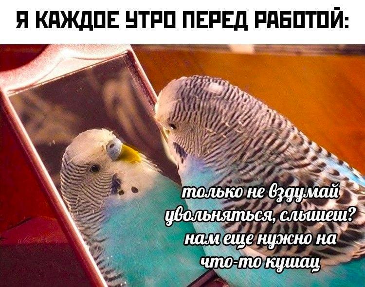 https://upforme.ru/uploads/001c/36/d0/25/666234.jpg