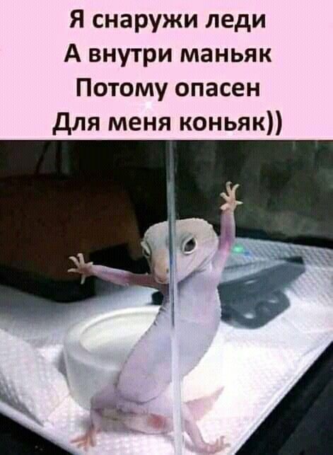 https://upforme.ru/uploads/001c/36/d0/25/67833.jpg