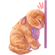https://upforme.ru/uploads/001c/36/d0/25/701398.png