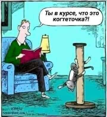 https://upforme.ru/uploads/001c/36/d0/25/985802.jpg