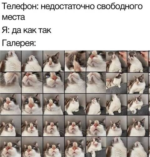 https://upforme.ru/uploads/001c/36/d0/25/t615216.jpg